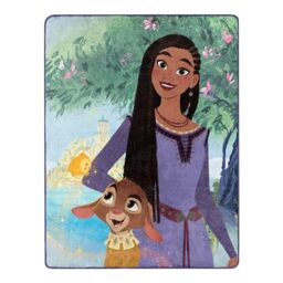 Northwest Disney Wish Silk Touch Throw Blanket, 46 x 60 inches, Friendship