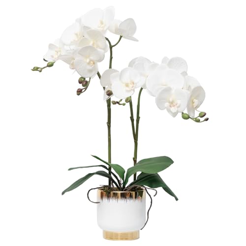 "CXGS Orchids Artificial Flowers Real Touch Fake Flowers in Ceramic Pot 20"" White Faux Orchid Plant Lifelike Silk Phalaenopsis for Centerpiece Hotel Home Indoor Decor"
