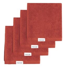 PANTONE™ – Bathroom Washcloths 30 x 30 cm, 4 Pieces in 100% Pure Cotton Terry Towels, Oeko-Tex Certified, Multi-purpose Small Bath Towel Set, Soft and Absorbent Also Suitable as Face Makeup Remover