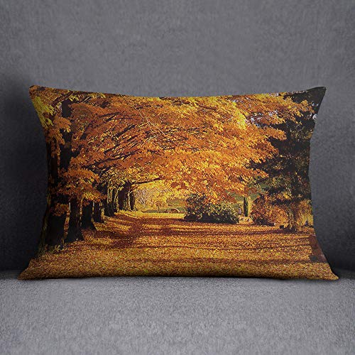 Bonamaison Decorative Cushion Cover, Cotton Polyester, Multicolor, 35x50