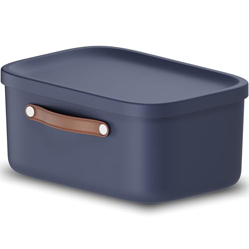 Rotho Maloja Storage Boxes with Lids 12 L Stackable Carrying Strap Blue - Kitchen Storage, Stackable Storage Boxes, Included Lid, Carrying Strap, Recycled PP, for Children???s Rooms and Bathrooms