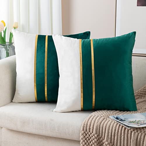 ZLINA Set of 2 Velvet Decorative Throw Pillow Covers Dark Green White Patchwork with Gold Leather Pillow Covers 20 ?? 20 Inch Cushion Covers Decor Living Room Sofa Bedroom Car