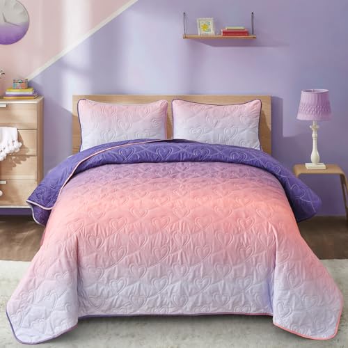 Xruibed DY04AC090559AF-E Quilt Set - 3PCs Summer Reversible Lightweight Microfiber Bedspread Coverlet Sets for All Season (96''x90'')