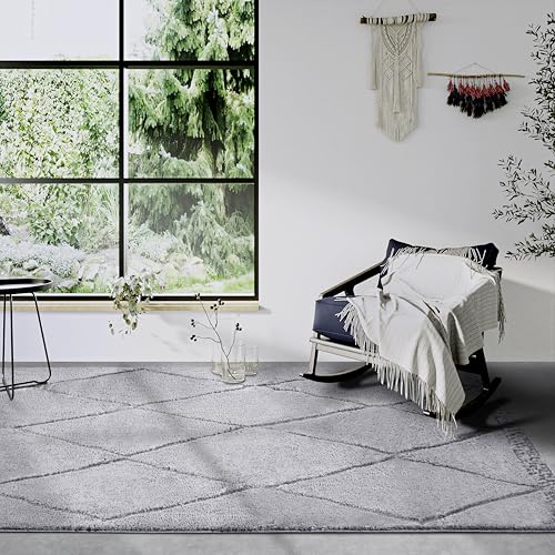 Elle Decor ation High Pile Perrotin Rug, Modern Living Room Rug, Long Pile Shaggy, Modern Pattern, Fluffy Soft Boho for Living Room, Bedroom, Light Grey, 160 x 235 cm