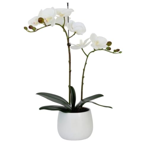 Elegant Double Stem White Real Touch Artificial Potted Orchid (46cm) In Round White Ceramic Pot