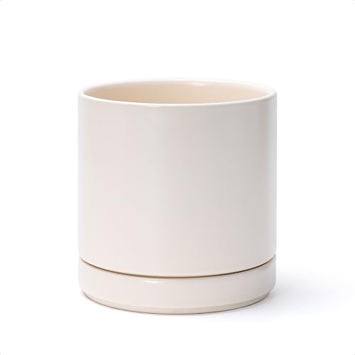D'vine Dev 6.5 Inch Ceramic Planter Pot with Drainage Hole and Saucer, Indoor Cylinder Round Planter Pot, Oatmeal, 94-O-C-8