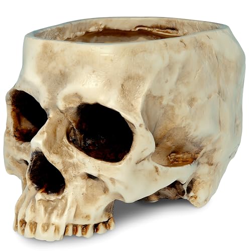 READAEER Skull Planter Resin Skull Shaped Flower Pot for Home Office Desk Decorations(Planter)