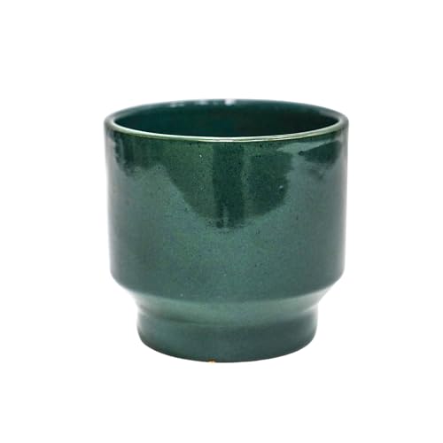 Ivyline Mia Planter in Forest Green for Indoor and Outdoor - Round Stylish Flower Pot - Modern Home Decoration - H15.5 x D17 cm