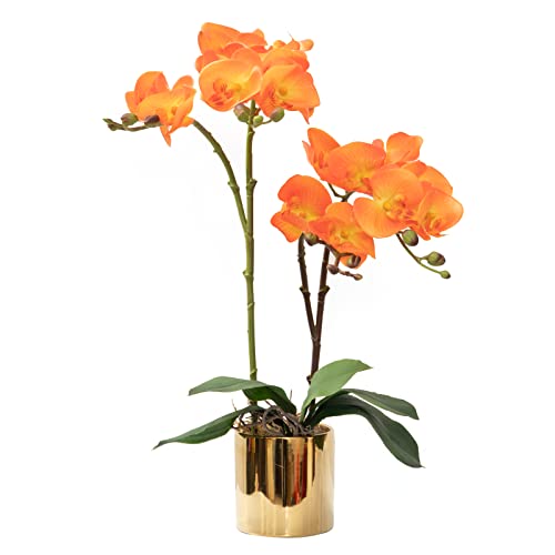 CXGS Artificial Orchid Flower Plant Real Touch Faux Orchids in Ceramic Vase Orange 19.7'' Fake Phalaenopsis Flower Arrangement Centerpiece Home Indoor Decor