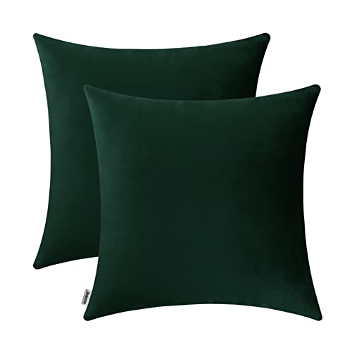 Jeneoo Set of 2 Decorative Throw Pillow Covers Soft Velvet Comfy Solid Couch Cushion Cover Decor (Army Green, 14 x 14 Inches)