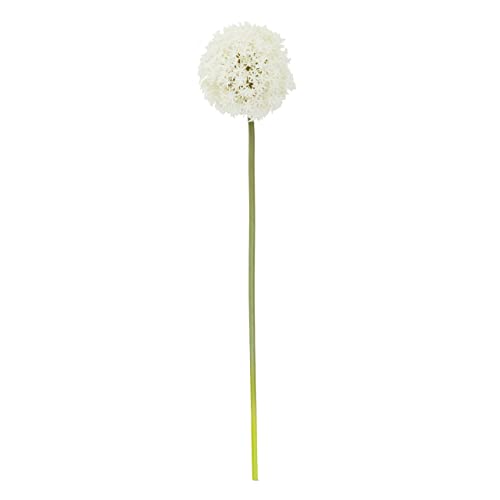 Premier Housewares Allium Stem Ivory Flower - 72cm/ Artificial Succulent Plants With Long Stem/Fake Succulents/Hand Made Ivory Flower With Stem/Dimensions W15 x D15 x H72cm