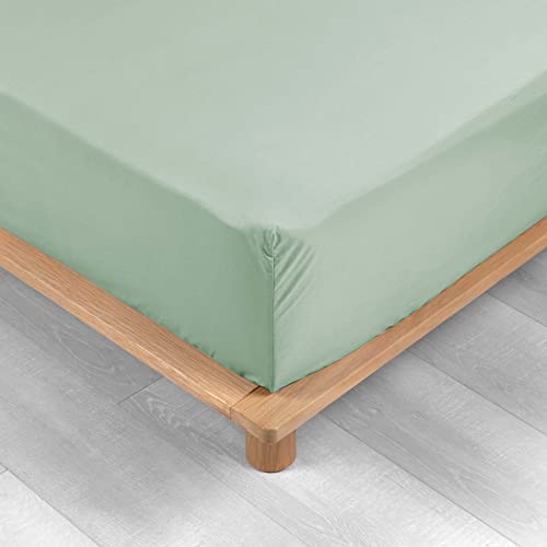 douceur d'intérieur, Percaline Sage Fitted Sheet (180 x 200 cm) Cotton Percale