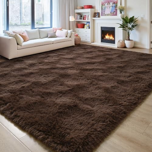 FALARK Dark Brown Rugs for Living Room Bedroom, 4x6 Feet Fluffy Fuzzy Furry Area Rug, Plush Soft Shaggy Bedside Indoor Floor Carpet for Kids Girls Boys Baby Teen Dorm Nursery Home Decor