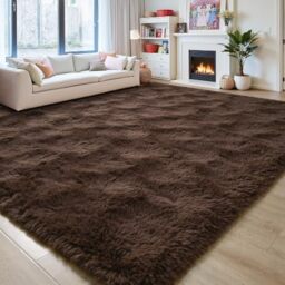 FALARK Dark Brown Rugs for Living Room Bedroom, 4x6 Feet Fluffy Fuzzy Furry Area Rug, Plush Soft Shaggy Bedside Indoor Floor Carpet for Kids Girls Boys Baby Teen Dorm Nursery Home Decor