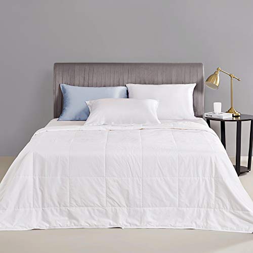 Mommesilk Silk Comforter/Duvet/Quilt, 100% Natural Silk, Cool for Summer Machine Washable, Weight 0.75Kg Queen 86''x90'', White