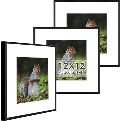 Golden State Art, Aluminium Photo Frame with Ivory Colour Mat for Pictures - Sawtooth Hangers, Spring Clips - Wall Mounting - Real Glass - Metal Frame (Black, 12 x 12 Frame, 3-Pack)