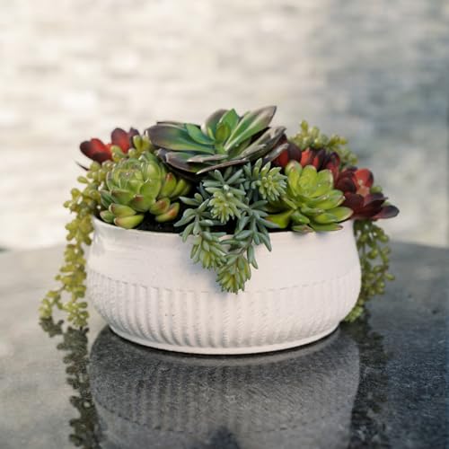 "Round Faux Succulent Arrangement, 12"" Premium Artificial Indoor Plant Enhances Interior Design, Display on Any Surface in Your Home Adding an Inviting Touch of Nature, White Planter Pot Included"