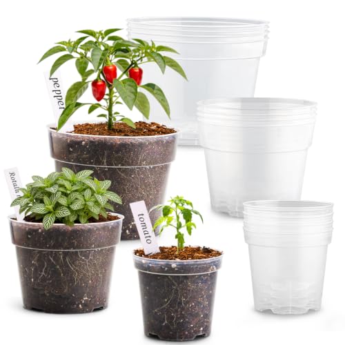RooTrimmer 8/6/4 Inch Clear Plant Nursery Pots 15 Pack, Transparent Plastic Plant Pot with Drainage Hole, Sturdy Planting Starter Pots for Seedlings Herbs Flowers Vegetable (Clear-15P)