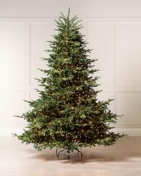 Pre-Lit European Fir Christmas Tree, 8.5 ft