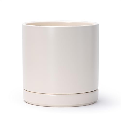 D'vine Dev 8.2 Inch Ceramic Planter Pot, Oatmeal, 94-O-D-8 - Modern Cylinder Design, Drainage Hole & Saucer Included, Stable Structure, Elegant Home Accent