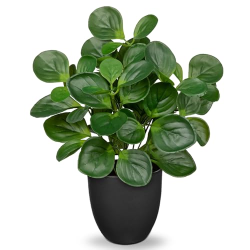 "Villa Como 14.5"" Artificial Plants Indoor Home Decor, Fake Potted Silk Plants for Shelves Living Room Decorative, Small Artificial Office Desk Plants in Pots, Faux Peperomia Hope Tropical House Plant"