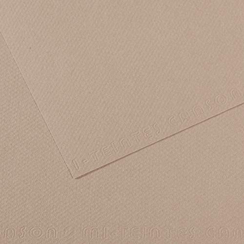Canson Pack of 10 Sheets 7 x 42 Colours 60% Bee 160 g (122), Flannel Grey, 29.7 x 47 cm