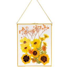 AVLA Brass Hanging Photo Frame, 28x36 cm Double-Glass Floating Display for Pressed Flowers and Large Artwork, Golden Gallery Wall for Specimens and Certificates
