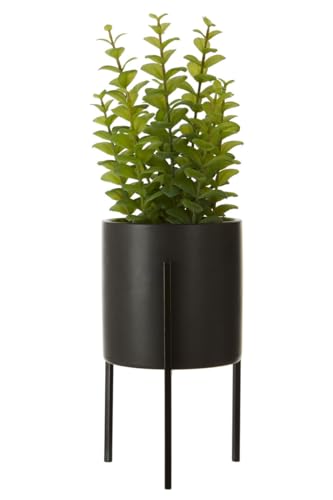 Premier Housewares Thyme Lush Green Faux Thyme Plant In Textured Concrete Pot With Minimalist Black Iron Stand For Artificial Plants Mini Plants 12 x 30 x 12 cm