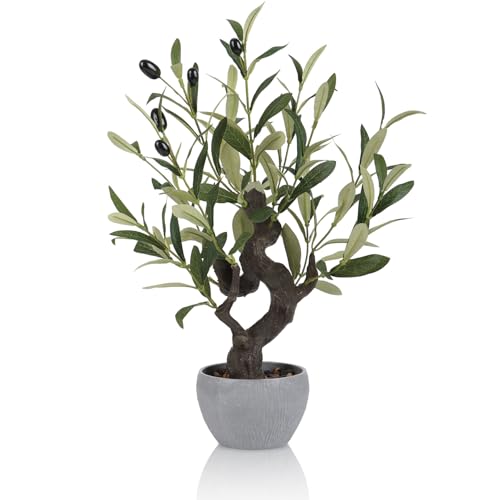 "TOARTi Artificial Olive Tree Potted Plant with Stone Pot, 19"" Tall Japanese Bonsai Tree Faux Plants Desk Plant, Realistic Greenery Decor for for Home Bedroom Bathroom Office Desk"