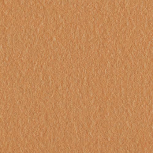 Felt Fabric Sheets 10-Piece, 20 cm Length x 30 cm Width x 0.1 cm Thickness, Salmon