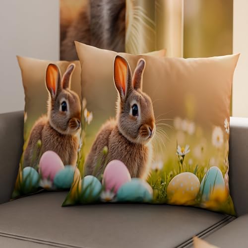PETTI Artigiani Italiani - Pair of Easter Pillow Cases 65 x 65 cm in Microfibre, Easter Cushions for Bedroom, Sofa, Living Room, Set of 2 Cushion Covers, 100% Made in Italy