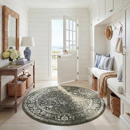 Safavieh Distressed Rug for Living Room, Dining Room, Bedroom - Adirondack Collection, Short Pile, in Green and Ivory, 183 X 183 cm