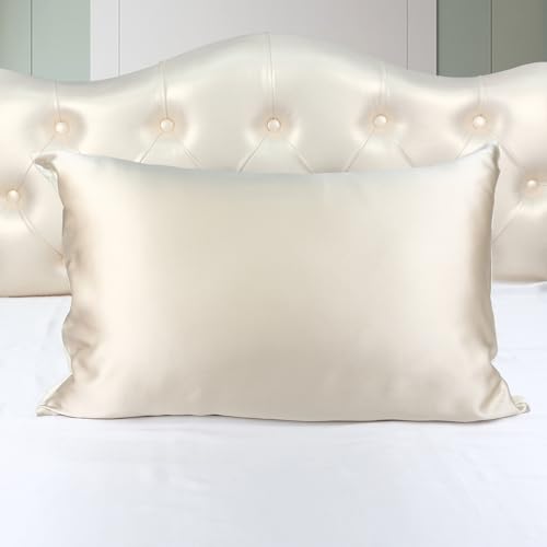 ESASILK 100% Mulberry Silk Pillowcase 19 Momme Silk Pillow Case for Hair and Skin, 20X26'' Pillow Cover with Zipper, 1 Pack(Champagne, Twin)