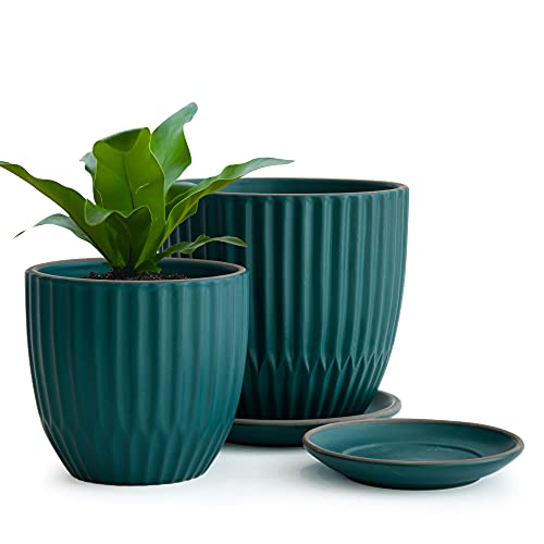 D'vine Dev Set of 2 Stoneware Planter Pots, Ceramic Pot with Drainage Hole and Saucers, 4.5 Inch 5.8 Inch, Dark Blue Green, 99-92-TB