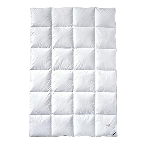 Billerbeck duvets E04 Gold-Edition ??? Available in Different Sizes and Shapes, White, 155 x 220 cm