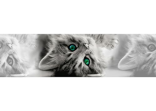 AG Design Border, PVC film, Multicolor, 0.14 x 5 m /5,5 x 197 inches