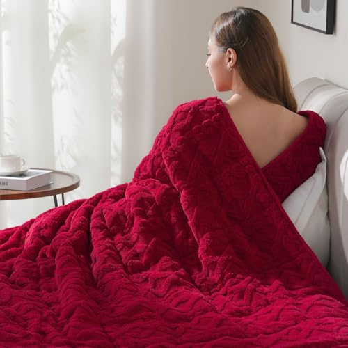 Drewin 20lbs Weighted Blanket Queen Size for Adults,Red,60 x 80 inches - Stress Relief & Promotes Sleep,Cozy Heavy Throw Blankets,Soft Jacquard Sherpa with Glass Beads,Machine Washable