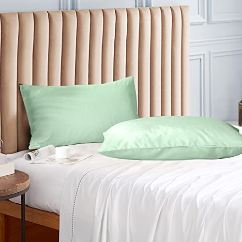 "Evolive Ultra Soft Brushed Microfiber Standard Size 20""x30"" Pillowcases Pair Set of 2 with Envelope Closure (Mint, 20""x30"" Standard)"