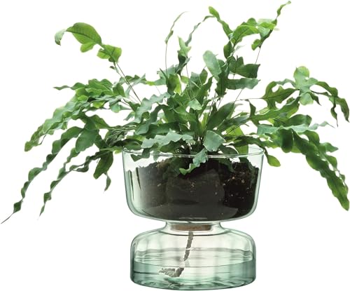 LSA Canopy Self Watering Planter H13cm Recycled/Part Optic - 1 unit - Recycled Glass - CQ15