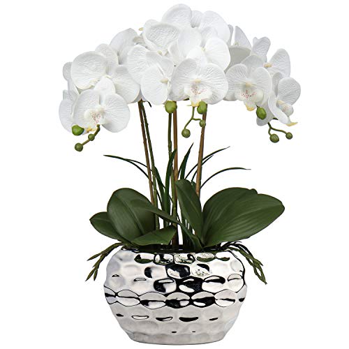 Briful Artificial Orchid, Faux Phalaenopsis Orchid Silk Flower Arrangement Tall Fake Orchid Flowers Plant Ceramics Pot Arrangements for Home Table Office Party Table Decor (Orchid #05)