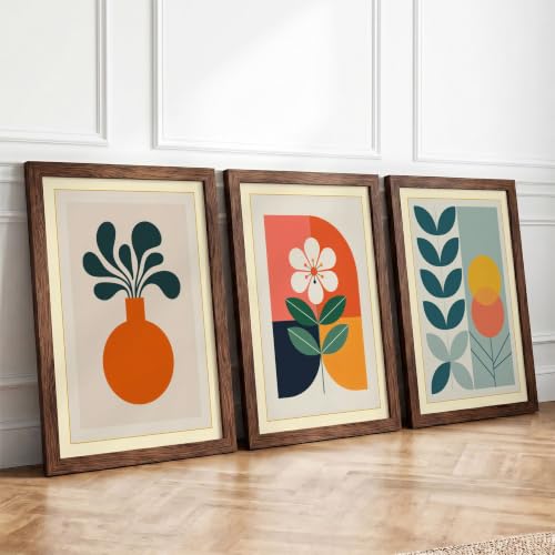 Modern Botanical Study Mid-Century Set of 3 Framed Wall Art Prints A4