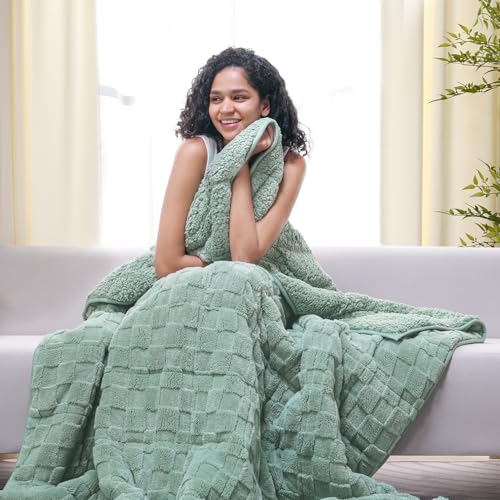 Drewin Adult Weighted Blankets 20lbs, Cozy Fluffy Jacquard Checkered Sherpa Weighted Blankets Queen Size 60 x 80 inches, Soft Winter Heavy Blanket for Couch Bed, Ceramic Beads, Sage Green