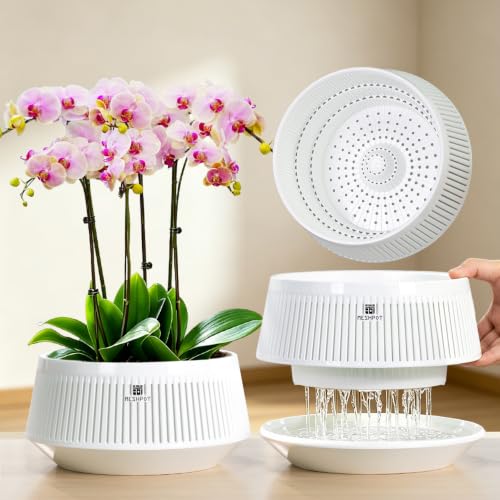 Meshpot 8 inch Orchid Pots with Holes for Repotting,Set of 2,Decorative African Violet Pots with Air-Pruning and Good Air Circulation,Plastic White Orchid Planter with Saucers