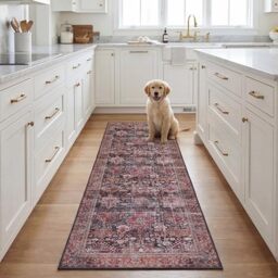 SAFAVIEH Traditional Rug Ideal for High Traffic Areas - Machine Washable and Non Slip - Tucson Collection, Short Pile, in Red and Green, 76 X 183 cm