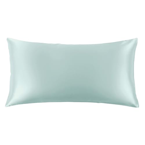 "THXSILK 100% Mulberry Silk Pillowcase for Hair and Skin, 22 Momme Grade 6A+ Mulberry Silk Pillow Case, Natural Silk Pillow Case Cover with Zipper, 1pc(California King Size 20""x40"", Light Blue)"