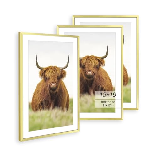 Golden State Art 13x19 Picture Frame Set of 3, Modern Gold Thin Border - Display 11x17 with Mat or 13x19, Wall Hanging Photo Frames
