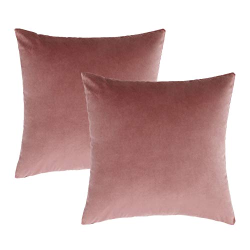 VAKADO Jam Velvet Throw Pillow Covers 20x20 inch Decorative Square Soft Solid Cushion Cases Home Decor for Couch Bedroom Sofa Office Set of 2