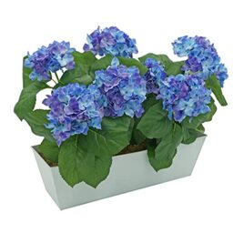 GreenBrokers Artificial Blue Hydrangea Flower Bush in White Tin Window Box (45cm) with Nine Flower Clusters for Home or Outdoor Living