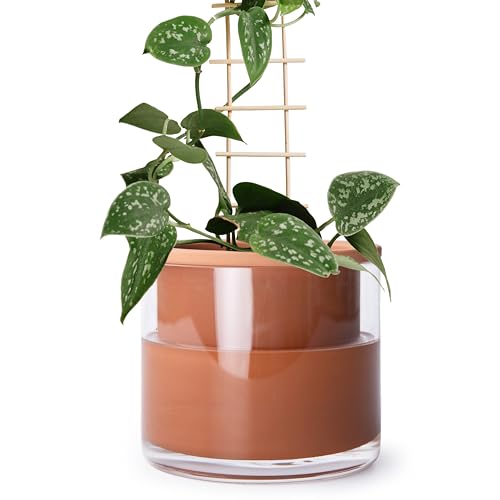 Phoenix Vine 6 Inch Self Watering Plants Pot, Design Terracotta Pot for Plants, Indoor Cylinder Terra Cotta Planter with Glass Vase, Set of 1, 51-A-F-1