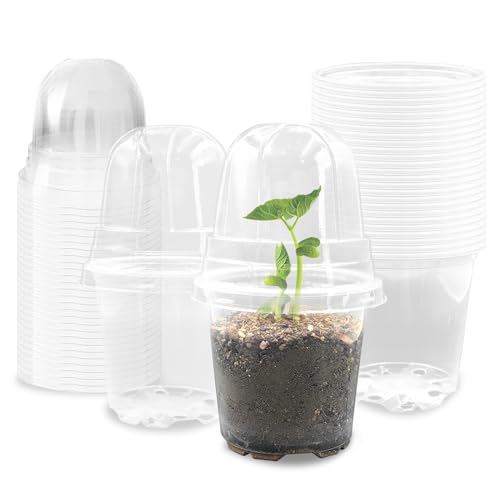 RooTrimmer Transparent Nursery Pots 3.5Inch with Humidity Domes for Seeds Starting, Clear Plastic Plant Pots with Drainage Holes (3.54Inch, 40Pcs,Clear Pots with Lids)